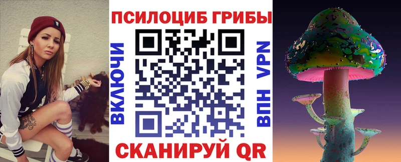 Купить закладки  Лодейное Поле  Псилоцибиновые грибы мухоморы 